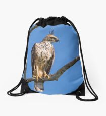 Changeable Hawk Drawstring Bag
