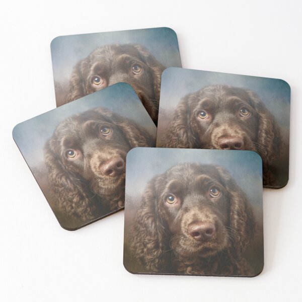 Item preview, Cute American Water Spaniel Portrait designed and sold by Elisabeth Lucas.