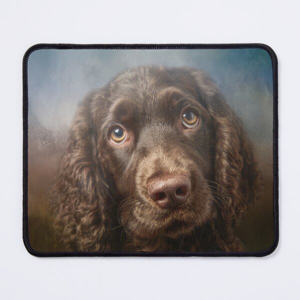 Item preview, Cute American Water Spaniel Portrait designed and sold by Elisabeth Lucas.