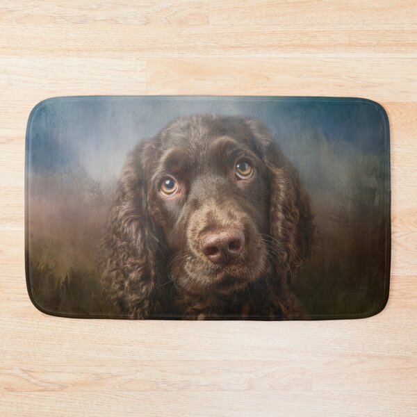Item preview, Cute American Water Spaniel Portrait designed and sold by Elisabeth Lucas.