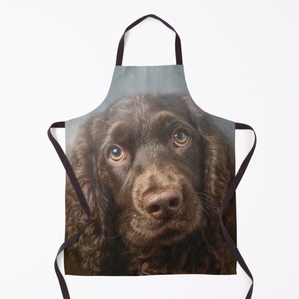 Item preview, Cute American Water Spaniel Portrait designed and sold by Elisabeth Lucas.