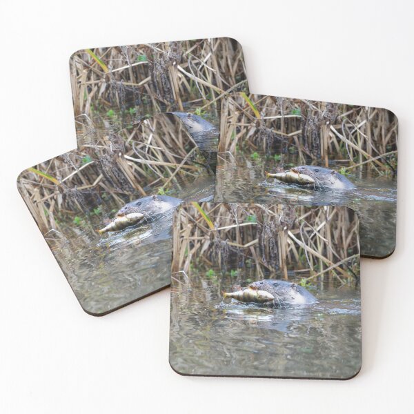 Item preview, River Otter in water near reeds with fish designed and sold by Stephen Jarman.
