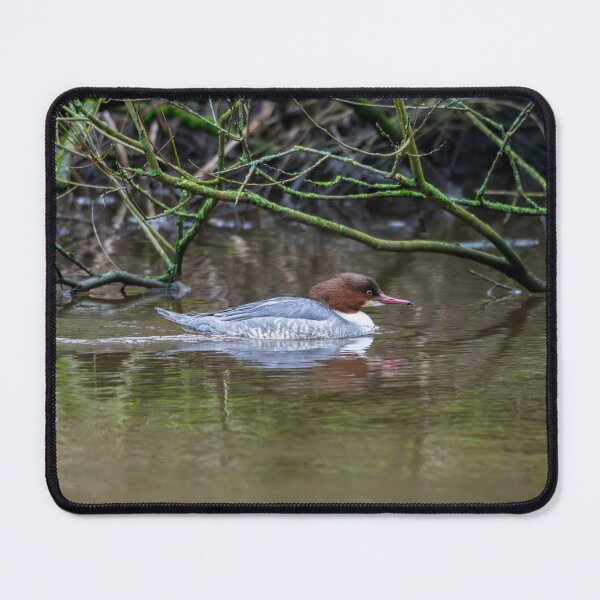 Item preview, Goosander or common Merganser designed and sold by Stephen Jarman.