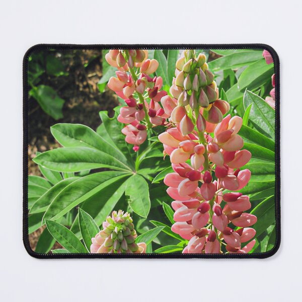 Item preview, Lupin designed and sold by Katy Fryd.