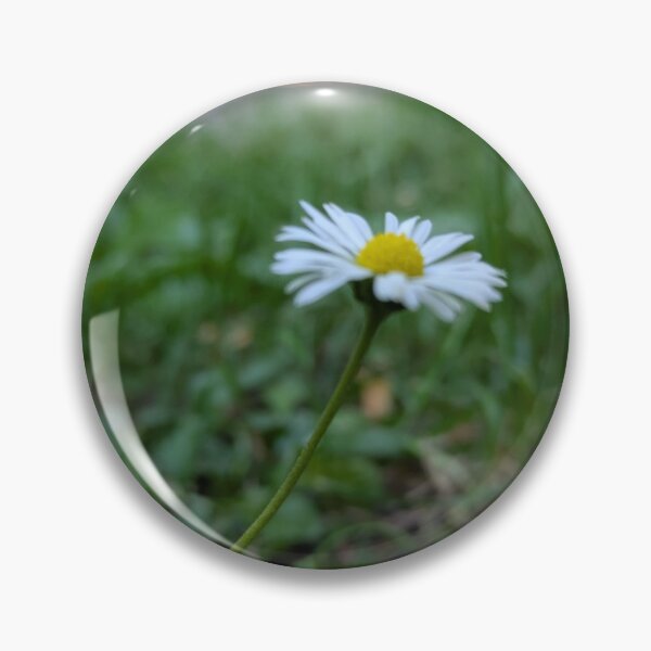 Aperçu de l'œuvre marguerites créée et vendue par MonStile.