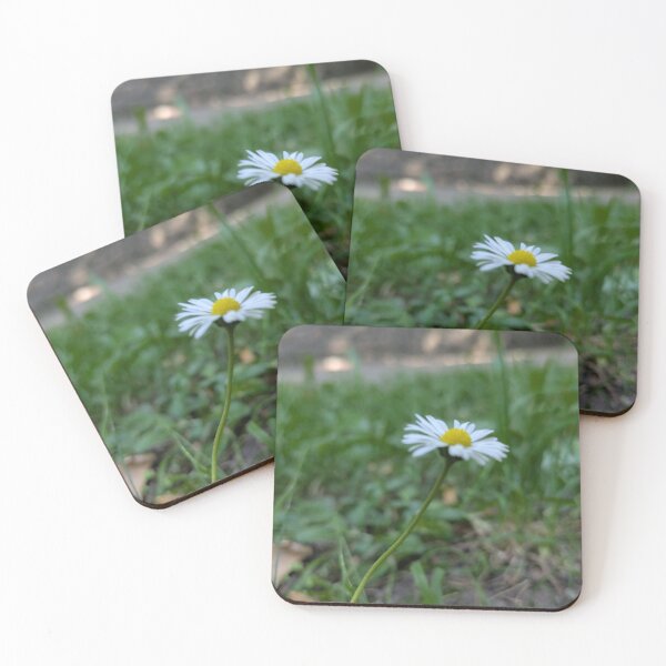 Item preview, daisies designed and sold by MonStile.