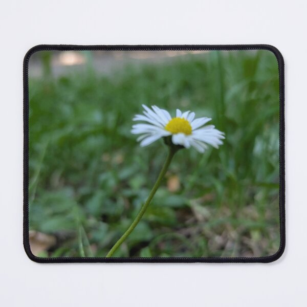 Item preview, daisies designed and sold by MonStile.
