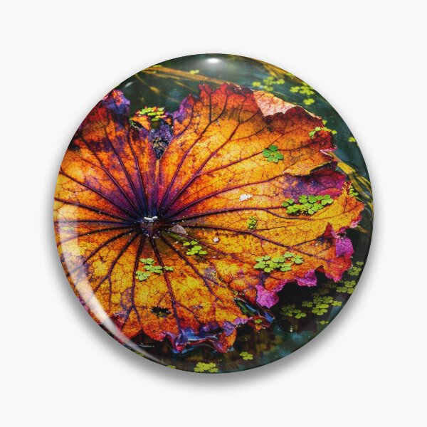 Item preview, Shimmering underwater worlds unfold designed and sold by Sigtrix.