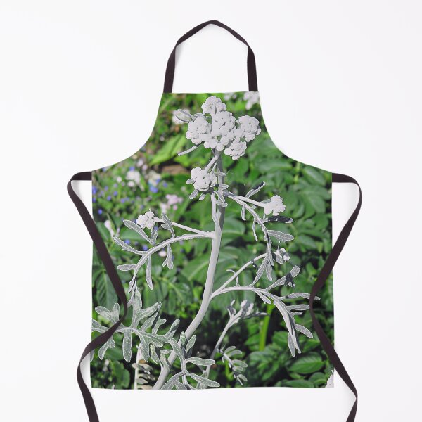 Item preview, Psoralea Argophylla - Silverleaf Scurf Pea designed and sold by Katy Fryd.