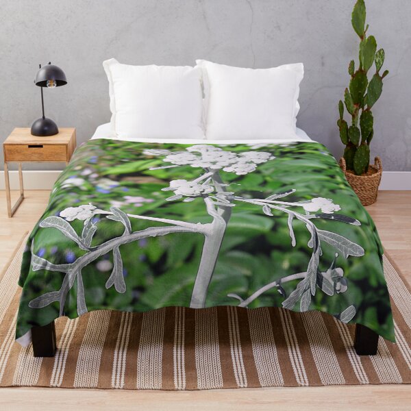Item preview, Psoralea Argophylla - Silverleaf Scurf Pea designed and sold by Katy Fryd.