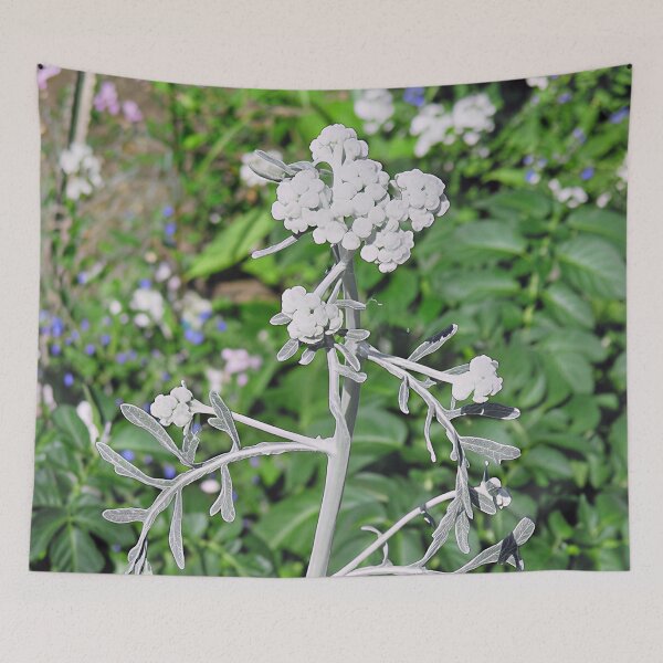 Item preview, Psoralea Argophylla - Silverleaf Scurf Pea designed and sold by Katy Fryd.