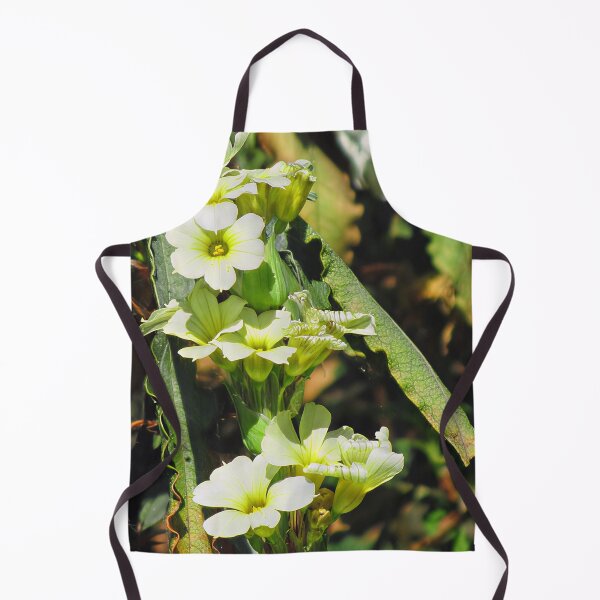 Item preview, Sisyrinchium Striatum 'Aunt May' designed and sold by Katy Fryd.