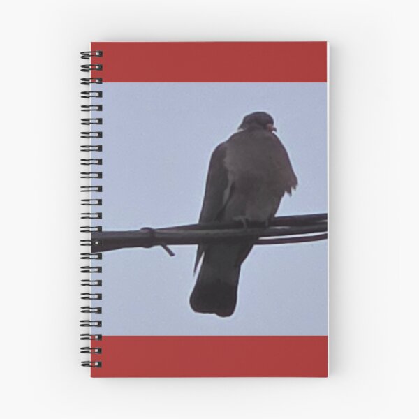 Item preview, Halcón posado en un cable al anochecer. designed and sold by Buf79.