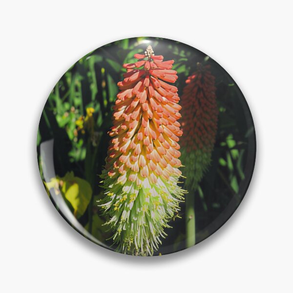 Artikelvorschau, Red Hot Poker II entworfen und verkauft von Katy Fryd.