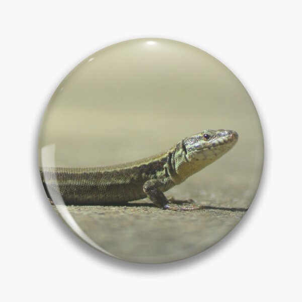 Item preview, Picture of a lizard 2/4 designed and sold by Elle Willers.