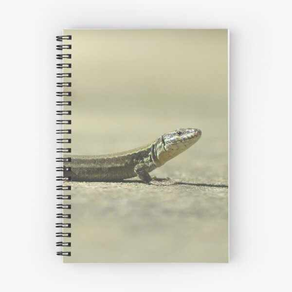 Item preview, Picture of a lizard 2/4 designed and sold by Elle Willers.