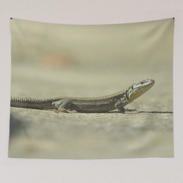 Item preview, Picture of a lizard 2/4 designed and sold by Elle Willers.