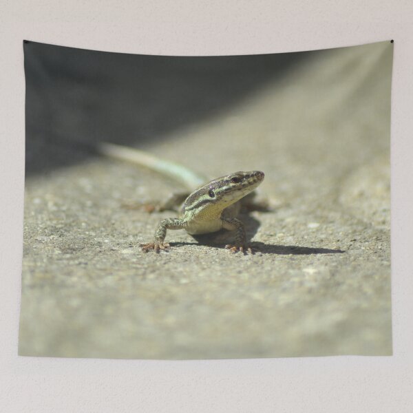 Item preview, Picture of a lizard 1/4 designed and sold by Elle Willers.