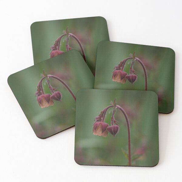 Item preview, Moody Wildflower Macro, Delicate Forest Flower Photography, Botanical Nature Aesthetic designed and sold by JSFrame.