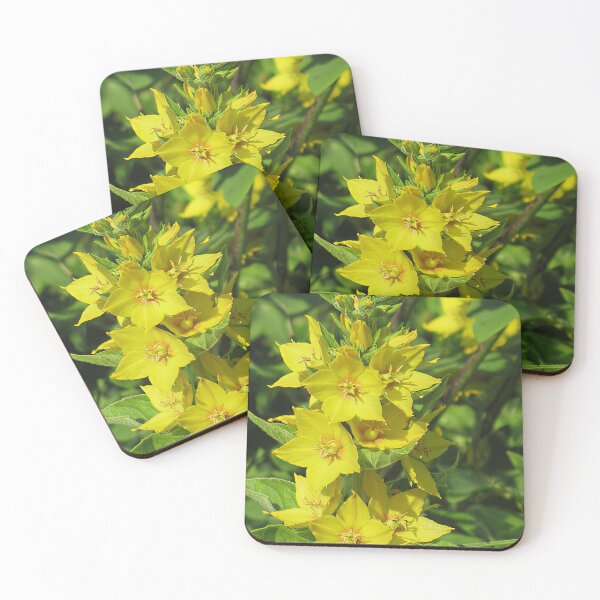 Item preview, Yellow Loosestrife designed and sold by Katy Fryd.