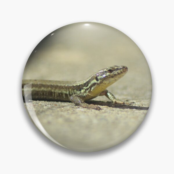 Item preview, Picture of a lizard 4/4 designed and sold by Elle Willers.