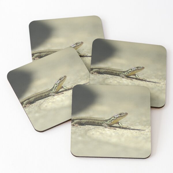 Item preview, Picture of a lizard 4/4 designed and sold by Elle Willers.