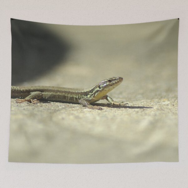 Item preview, Picture of a lizard 4/4 designed and sold by Elle Willers.