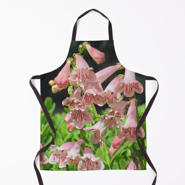 Item preview, Penstemon 'Strawberries and Cream' designed and sold by Katy Fryd.