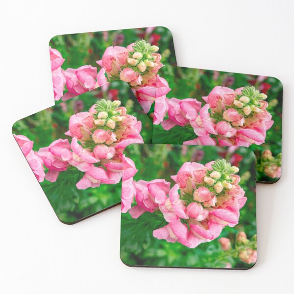 Item preview, Vibrant Pink Snapdragon Flowers – Beautiful Garden Floral designed and sold by PYGLegacy.