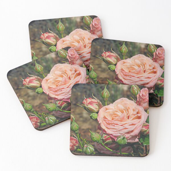 Item preview, Pink Rose and Rosebuds designed and sold by Katy Fryd.
