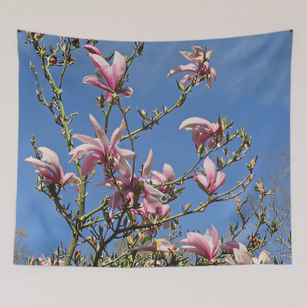 Item preview, Magnolia against a blue sky designed and sold by Katy Fryd.