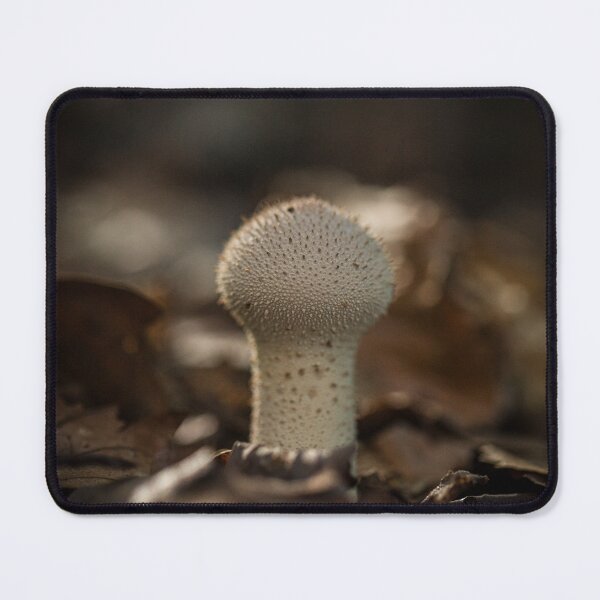 Item preview, Spiny Puffball Mushroom in Moody Autumn Leaves designed and sold by JSFrame.