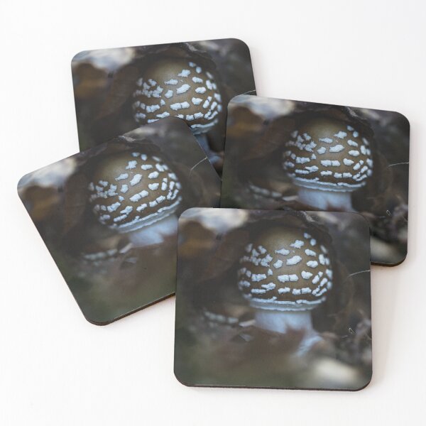 Item preview, Hidden Panther Cap Mushroom in the Dark Forest designed and sold by JSFrame.