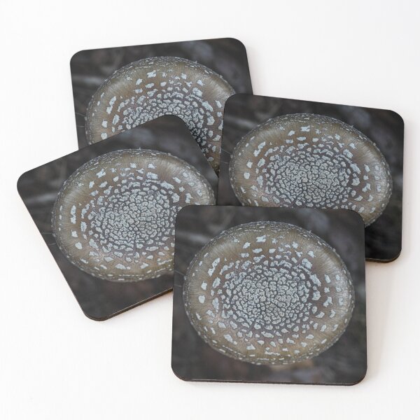 Item preview, Natural Mandala ,Top-Down Panther Cap Mushroom designed and sold by JSFrame.