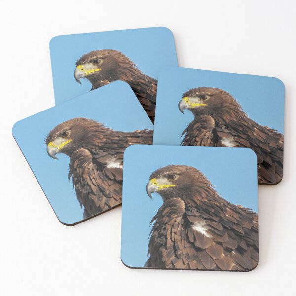 Item preview, Majestic Brown Eagle Portrait With Detailed Feathers And Sharp Beak Against Clear Blue Sky designed and sold by Nmallia.