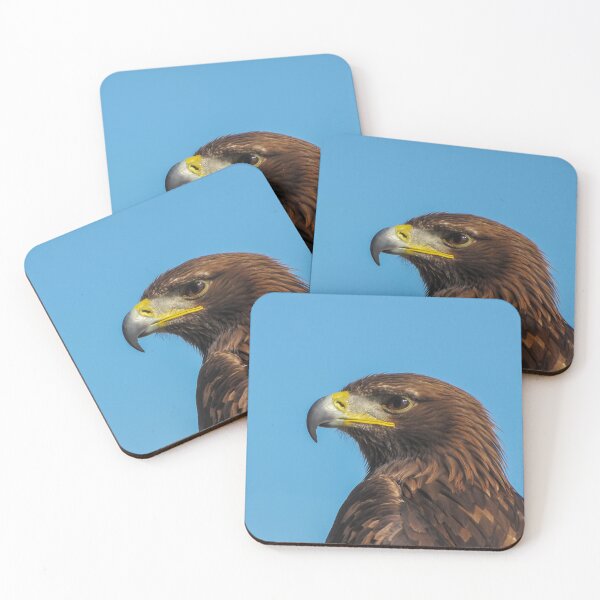 Item preview, Majestic Brown Eagle Portrait With Detailed Feathers And Sharp Beak Against Clear Blue Sky designed and sold by Nmallia.
