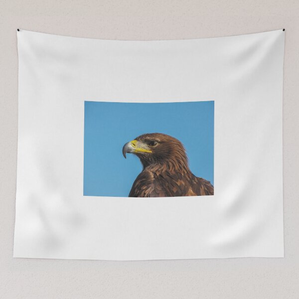 Item preview, Majestic Brown Eagle Portrait With Detailed Feathers And Sharp Beak Against Clear Blue Sky designed and sold by Nmallia.