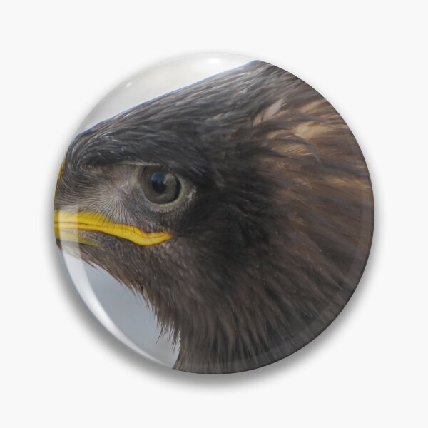 Item preview, Close-Up Portrait Of A Majestic Eagle With Sharp Beak And Intense Eye Detail designed and sold by Nmallia.