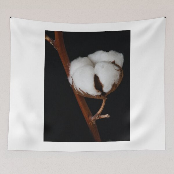 Item preview, cotton flower designed and sold by IgorKovalenko.