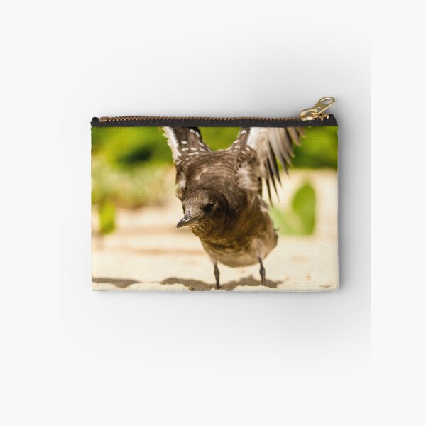 Item preview, Baby Sooty Tern Finding His Wings designed and sold by Stephen Quennell.