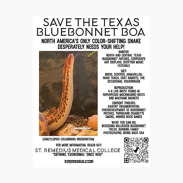 Item preview, Save the Texas Bluebonnet Boa designed and sold by StRemedius.
