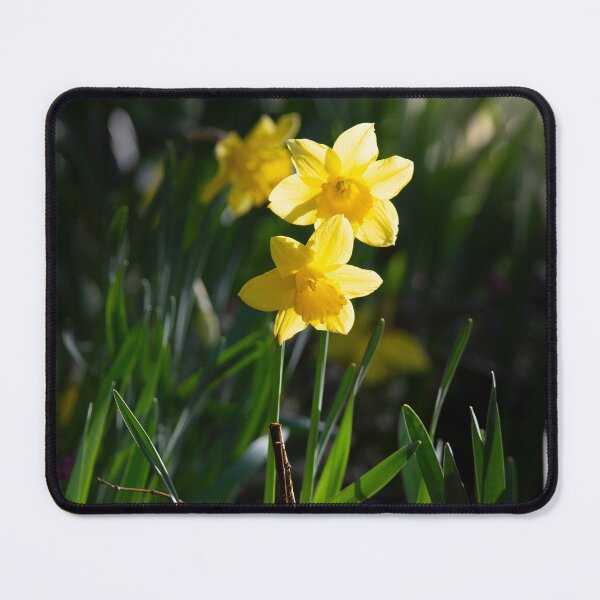Item preview, Sunny Daffodil Spring Flora designed and sold by CEastwoodPhotos.