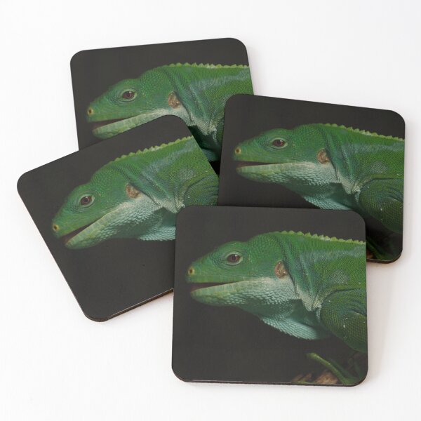 Item preview, Green Iguana Close Up Wildlife Photography designed and sold by flowlens.media.