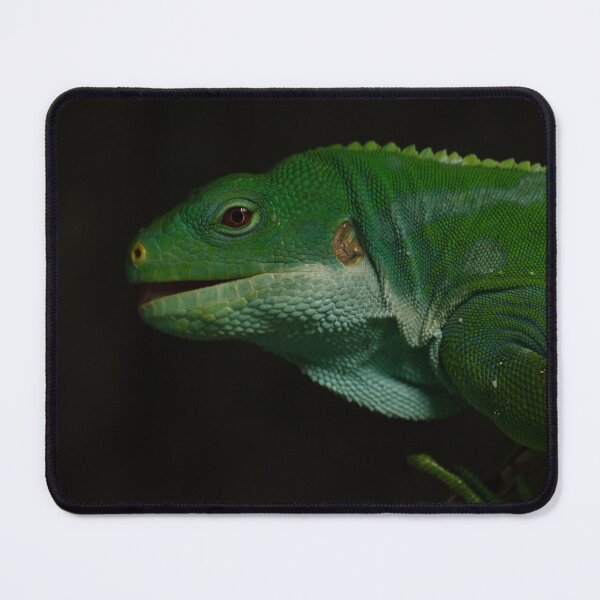 Item preview, Green Iguana Close Up Wildlife Photography designed and sold by flowlens.media.