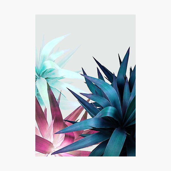 Item preview, Plant Leaves, Tropical Plant, Foliage designed and sold by PrintsProject.