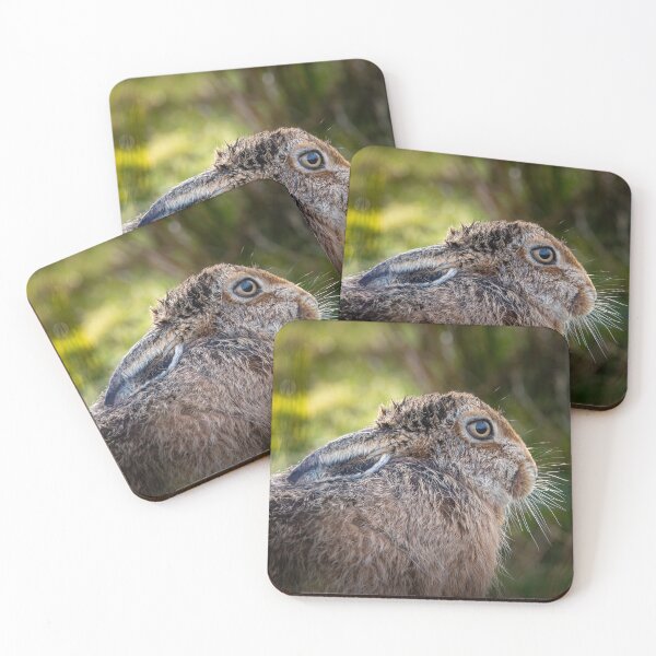 Item preview, Brown Hare, Forest of Bowland designed and sold by CEastwoodPhotos.