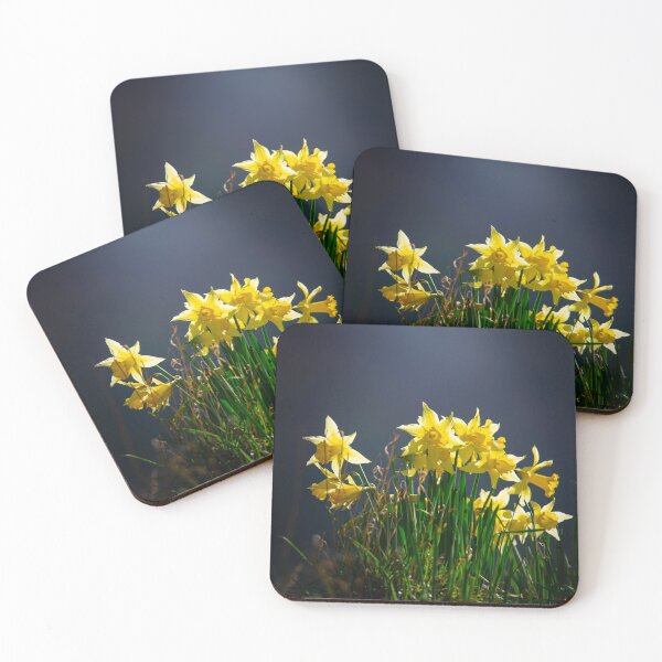 Item preview, Sunny Daffodil Spring Flora designed and sold by CEastwoodPhotos.