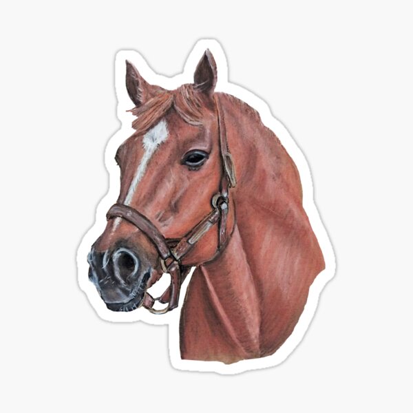 "Big Red" Secretariat, Race Horse Sticker