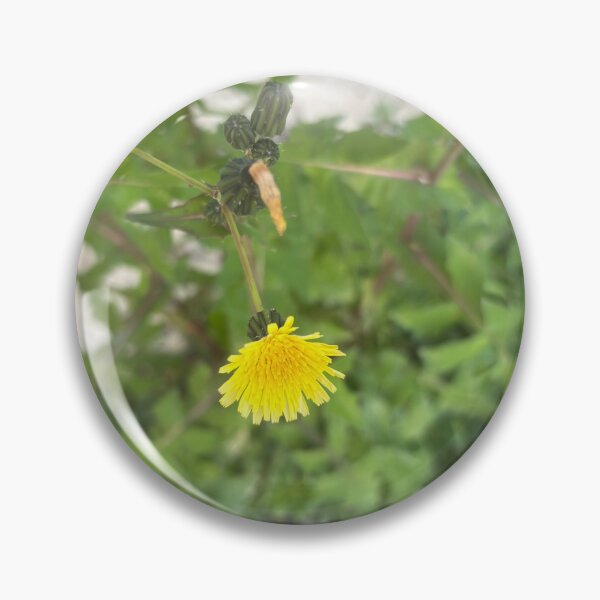 Item preview, Flor del Sol designed and sold by 55synonyms.