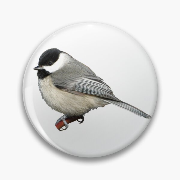 Item preview, Carolina Chickadee designed and sold by kyra0nicole.
